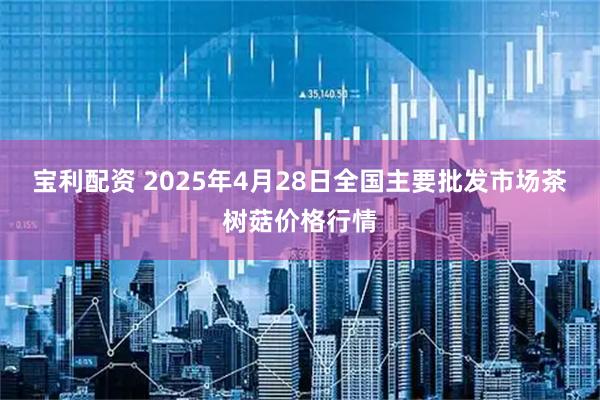 宝利配资 2025年4月28日全国主要批发市场茶树菇价格行情