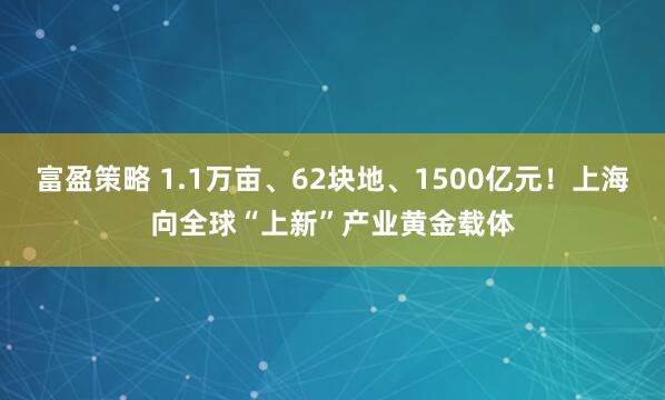 富盈策略 1.1万亩、62块地、1500亿元！上海向全球“上新”产业黄金载体